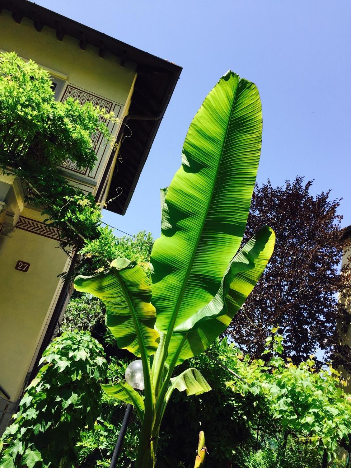 Appartement Bilocale Chic In Tropical A Due Passi Da Stazione *